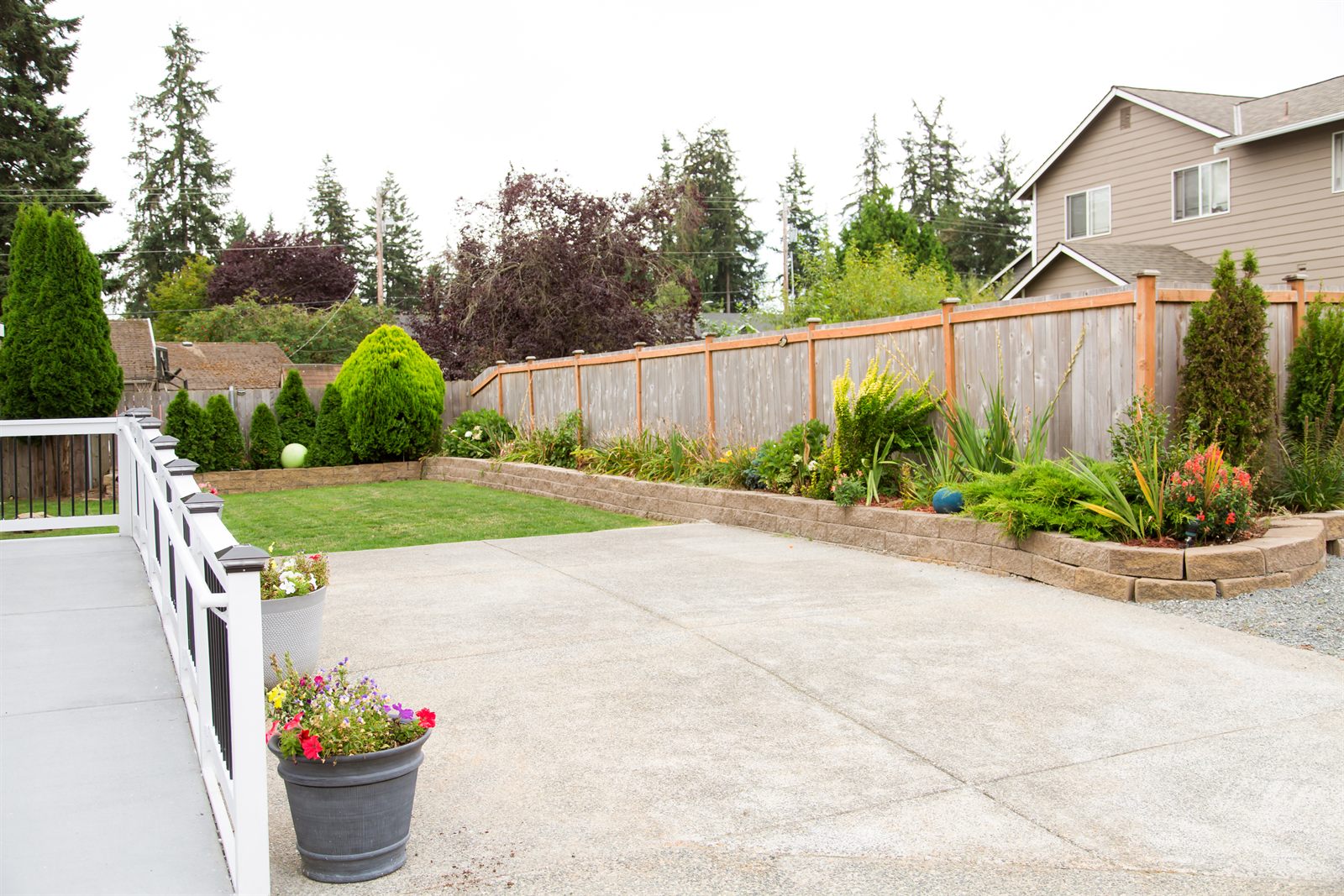 The fenced back garden